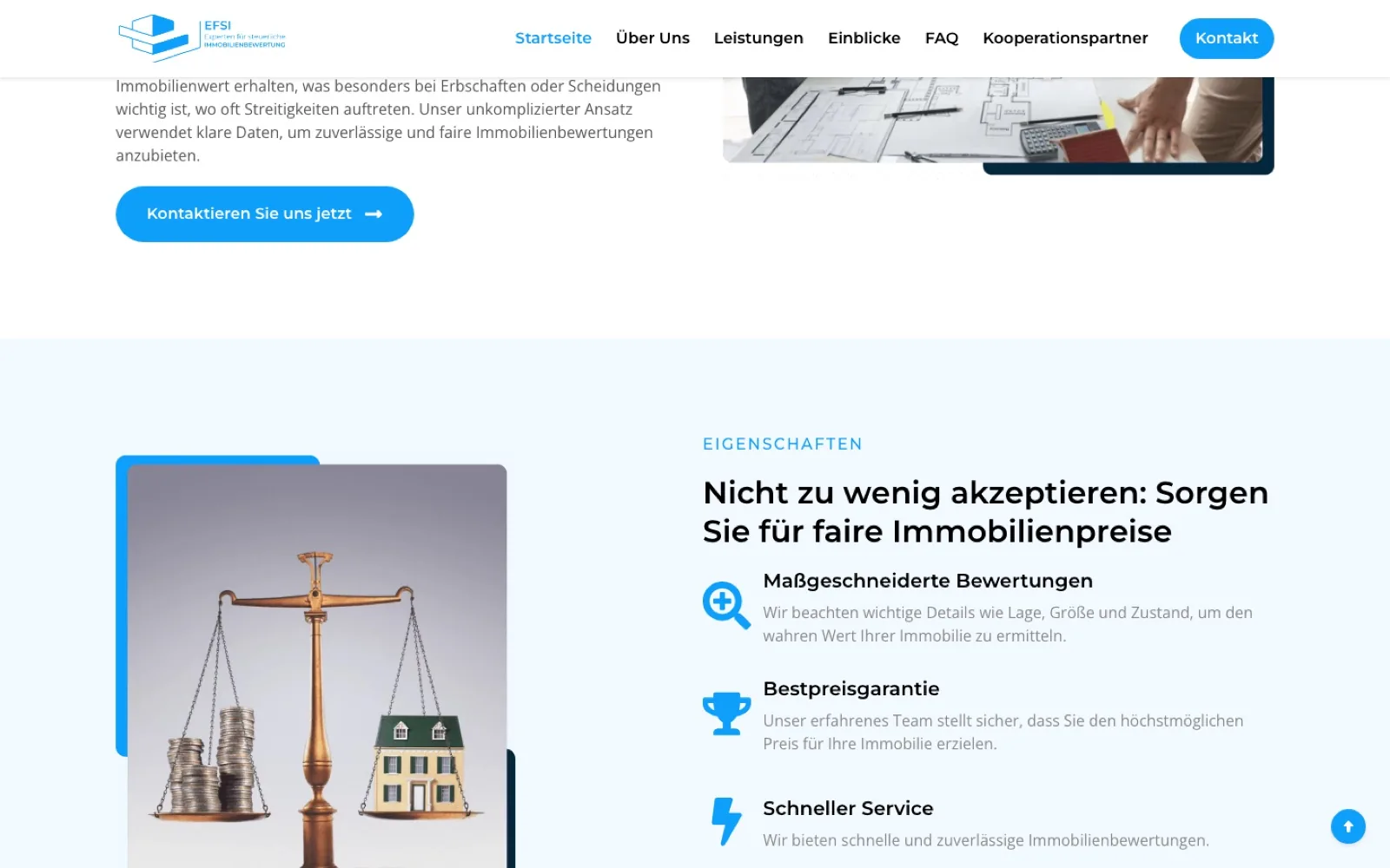 EFSI website services section